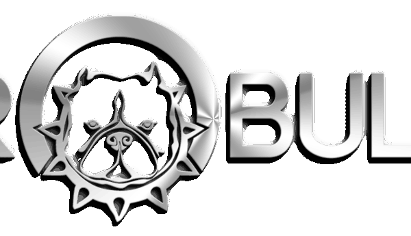 Главная - DIAMOND KING Logo 600x345